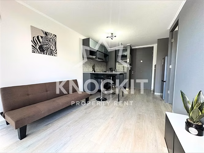 Arriendo Depto 1D1B Amoblado - En la Cisterna con Estac - Imagen 9