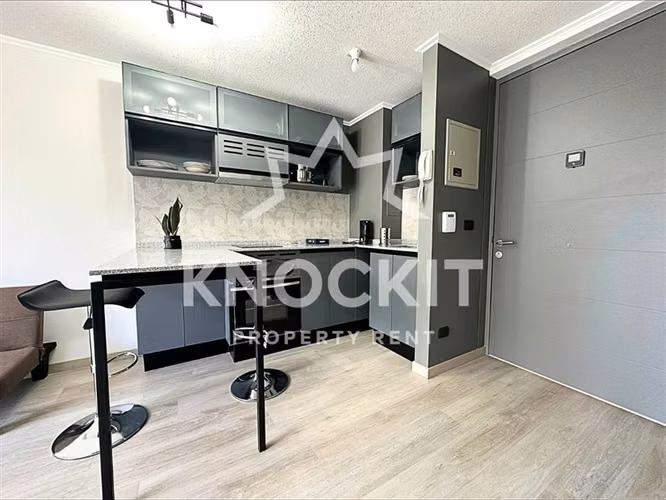 Arriendo Depto 1D1B Amoblado - En la Cisterna con Estac - Imagen 2