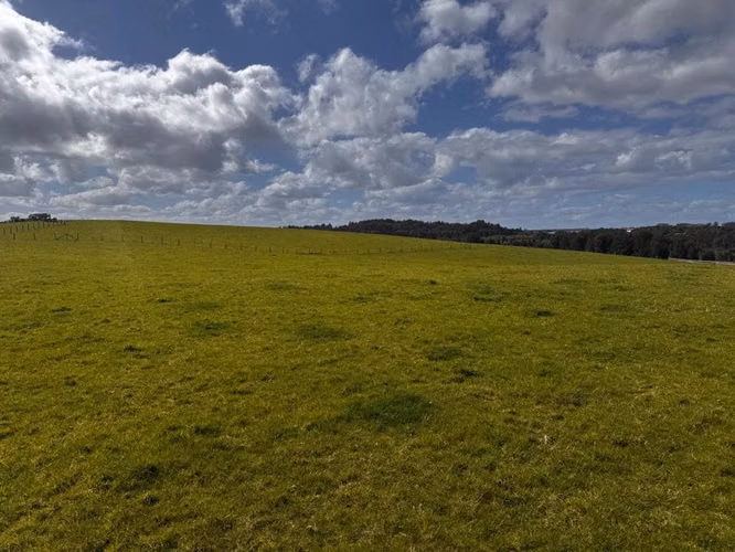 ARRIENDO CAMPO / TERRENO – LA LAJA, PUERTO VARAS – 15 A 20 HECTÁREAS