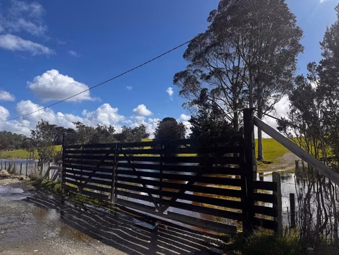 ARRIENDO CAMPO / TERRENO – LA LAJA, PUERTO VARAS – 15 A 20 HECTÁREAS