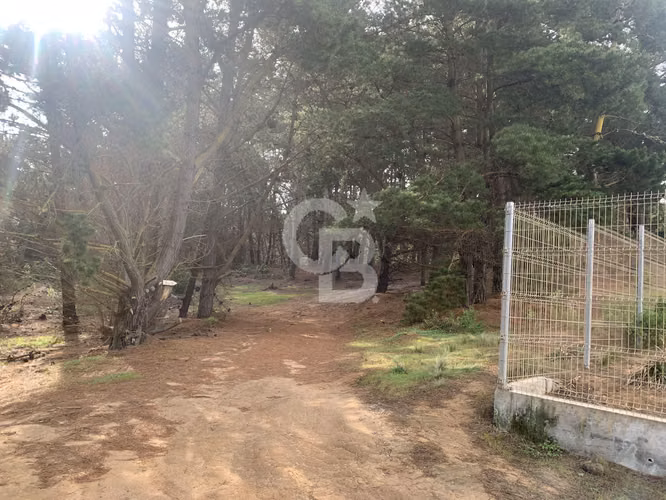 Parcela Exclusiva playa Las Docas - Imagen 16