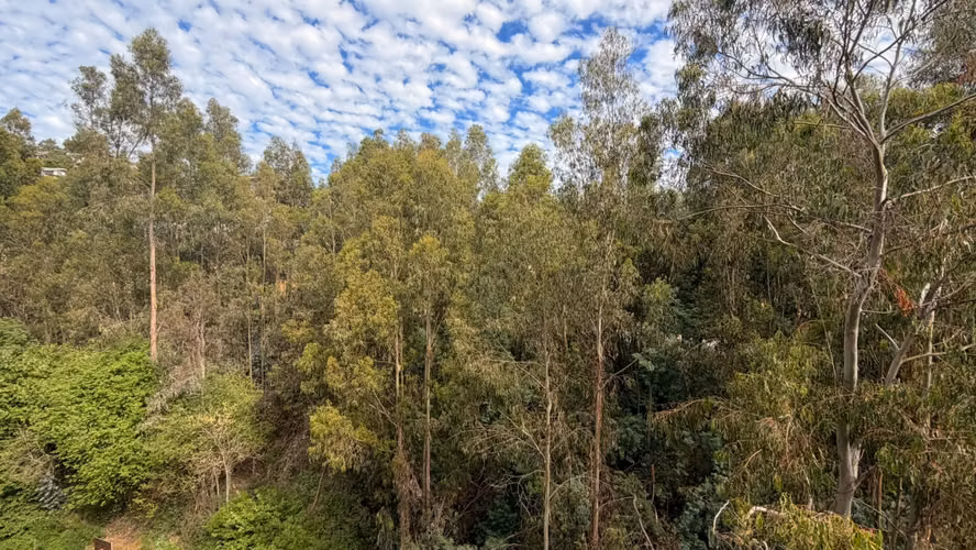 Arriendo Departamento 3 Dormitorios Valparaíso - Imagen 18