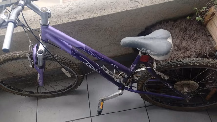 SE VENDE BICICLETA DE MUJER - Imagen 2