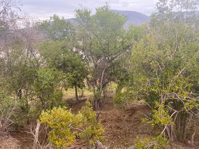 Parcelas Con Hermosa Vista En Tranque Collague, El Melón