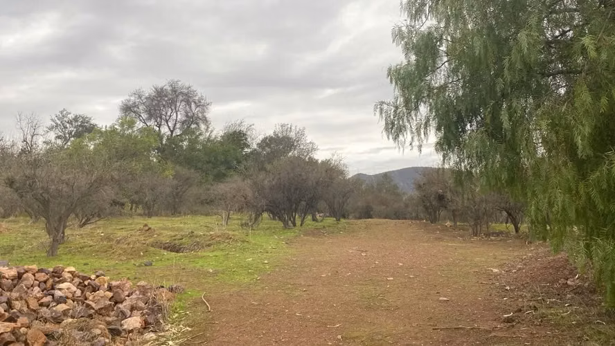 Parcelas Con Hermosa Vista En Tranque Collague, El Melón