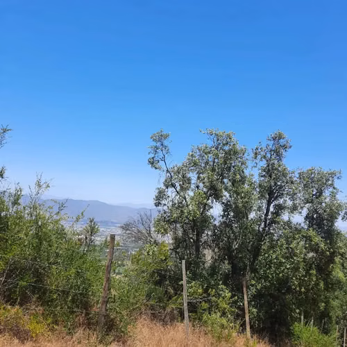 Venta Terreno Reserva Rucalhue, Quebrada Del Ají, Quillota - Imagen 3