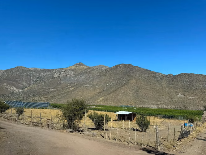 Venta Parcela 19 Hectáreas Limoneros, Alicahue, Cabildo