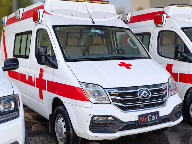 MAXUS EV80 CARGO VAN - 2020 | 4893 - Imagen 3
