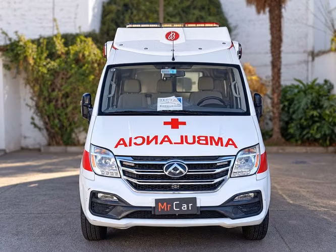 MAXUS EV80 CARGO VAN - 2020 | 4893