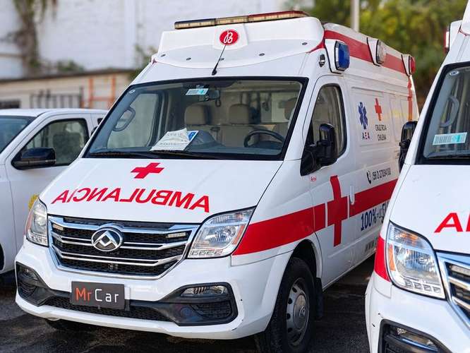 MAXUS EV80 CARGO VAN - 2020 | 4893 - Imagen 2