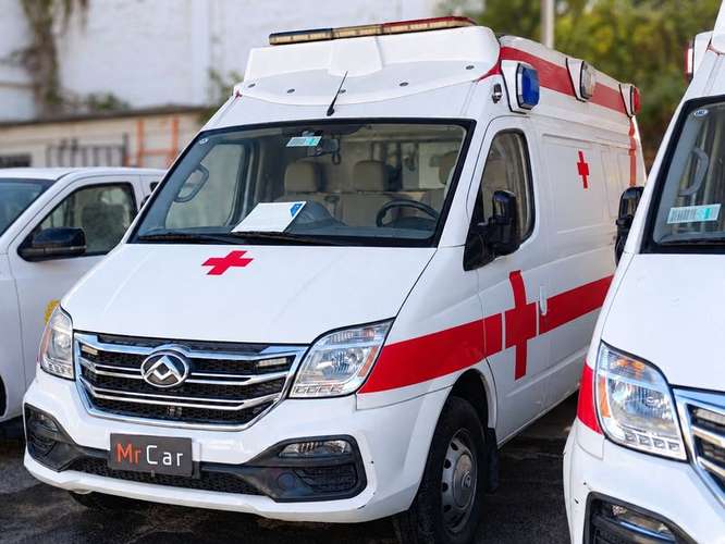 MAXUS EV80 CARGO VAN - 2020 | 4893 - Imagen 4