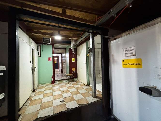Local Comercial para carnicería en arriendo en Punta Arenas