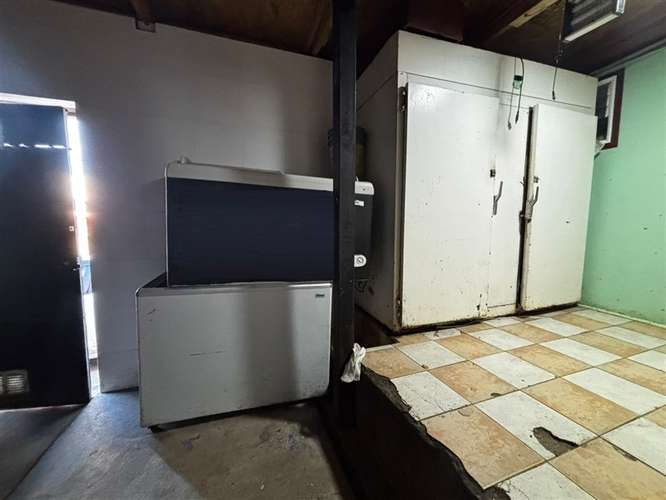 Local Comercial para carnicería en arriendo en Punta Arenas