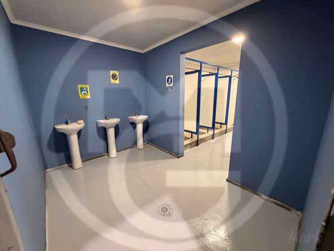 Espectacular Galpón de 550 m2 en San Joaquín  (185079)