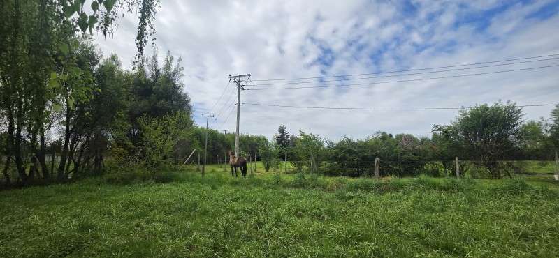 Vendo sitio de 5.000 con frente a Camino Antuco