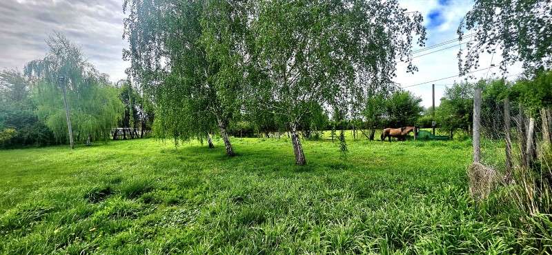 Vendo sitio de 5.000 con frente a Camino Antuco