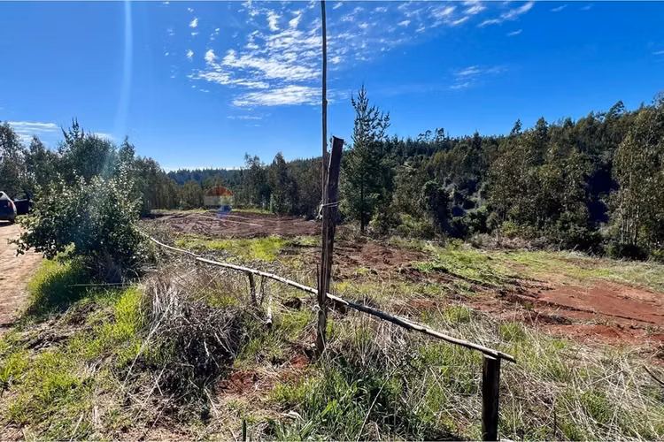 Ultimos  sitios en exclusivo condominio - Imagen 7