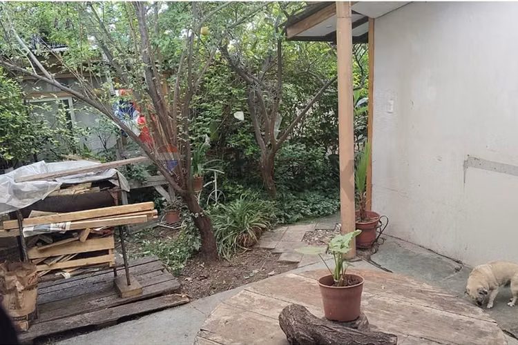 Casa con gran terreno y potencial en las condes - Imagen 17