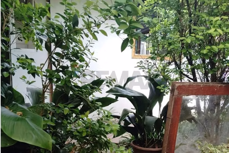 Casa con gran terreno y potencial en las condes - Imagen 13