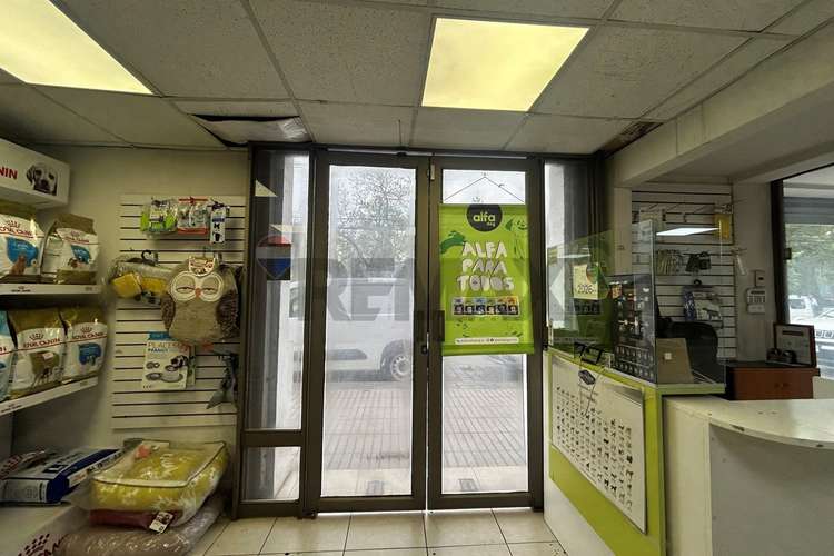 Gran local 287m²: ventas, bodegas y oficinas - Imagen 2