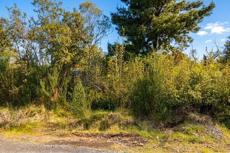 En venta parcela en altos del trancura - Imagen 9