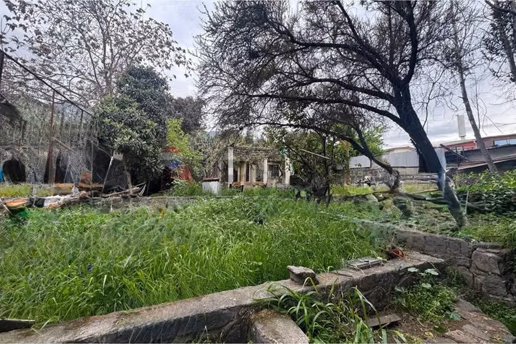 Casa con amplio terreno los arroyuelos/las torres - Imagen 19