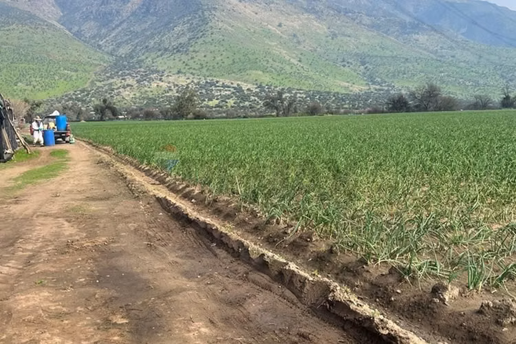 Terreno de 6,98 h.a, tiltil