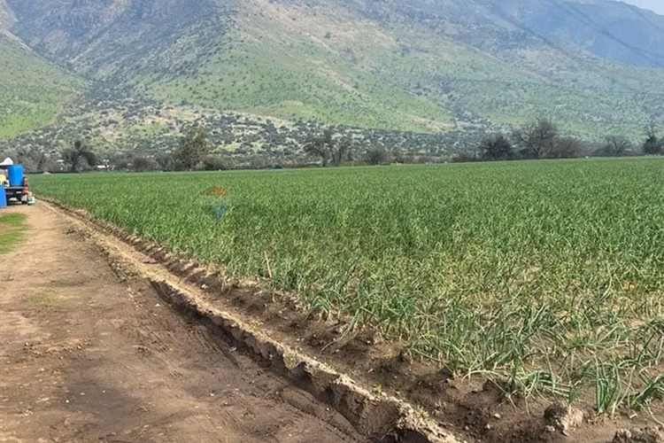 Terreno de 6,98 h.a, tiltil