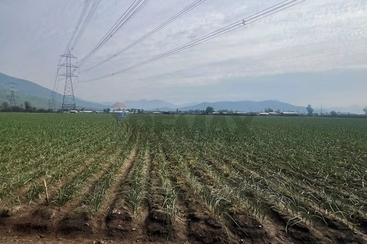 Terreno de 6,98 h.a, tiltil