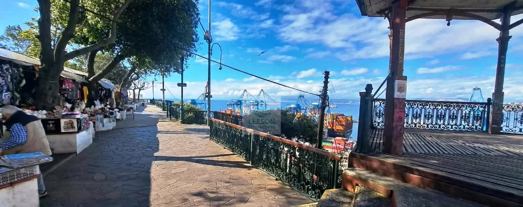 LOCAL COMERCIAL EN ARRIENDO EN CERRO ARTILLERÍA