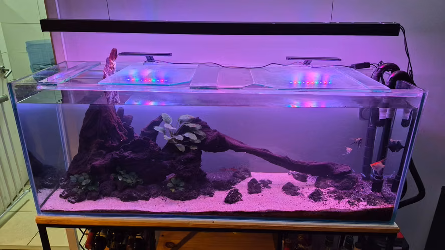 VENDO ACUARIO / PECERA 250 L COMPLETO