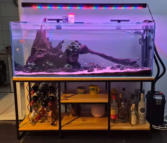 VENDO ACUARIO / PECERA 250 L COMPLETO