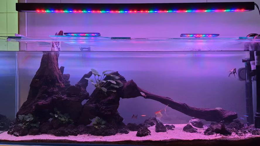 VENDO ACUARIO / PECERA 250 L COMPLETO