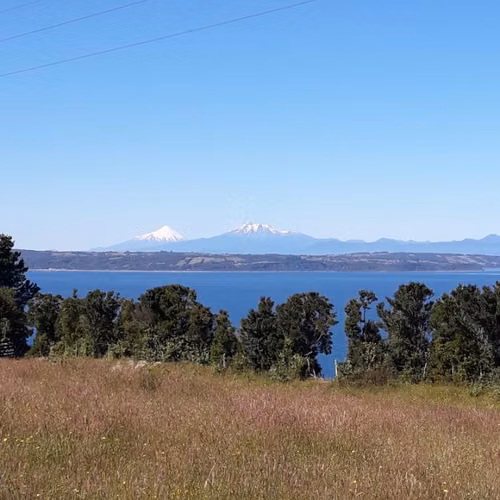 Terreno 5000 m2 - Imagen 1