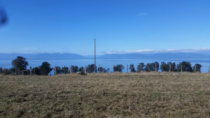 Terreno 5000 m2 - Imagen 5