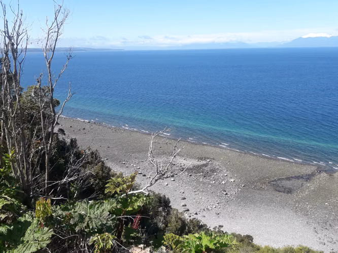Terreno 5000 m2 - Imagen 3