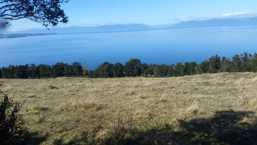 Terreno 5000 m2 - Imagen 6