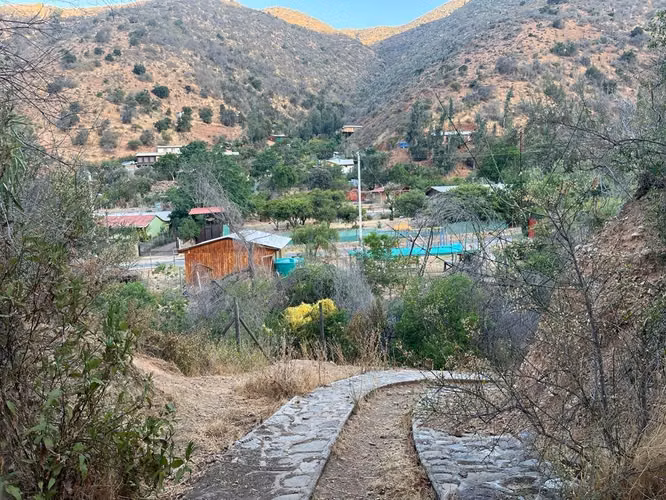 Renta de terreno con bosque nativo de 6,5 há, en Olmué.  1 M$