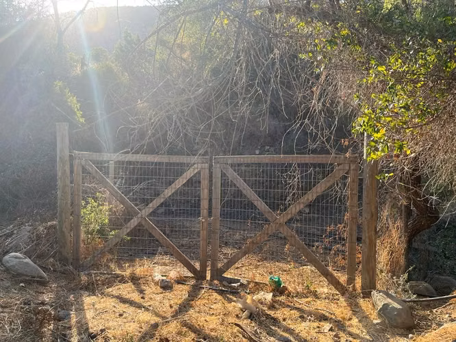 Renta de terreno con bosque nativo de 6,5 há, en Olmué.  1 M$