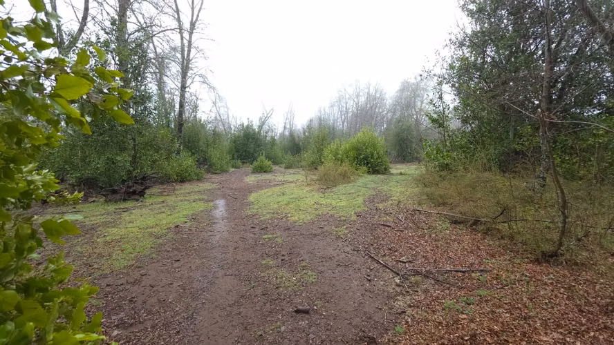 Terreno en venta Yungay, 7.88 hectáreas - Imagen 7