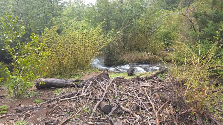 Terreno en venta Yungay, 7.88 hectáreas - Imagen 16
