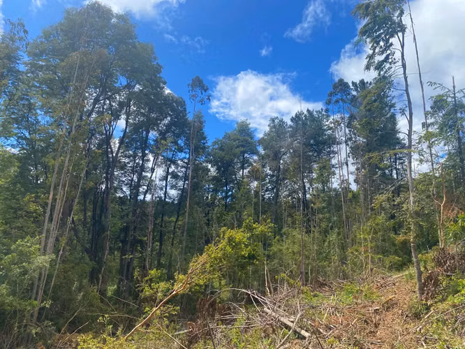 Se vende terreno en la salida norte a 15 minutos de Valdivia