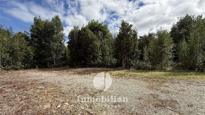 Gran Parcela 5.941m2, bosque nativo, urbanizada-Puerto Varas