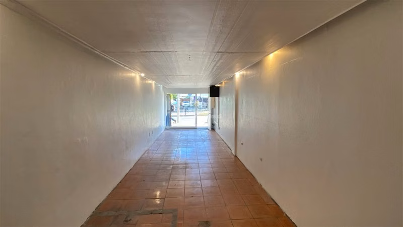 Arriendo Local Comercial A Castillo Velasco / Av Larrain