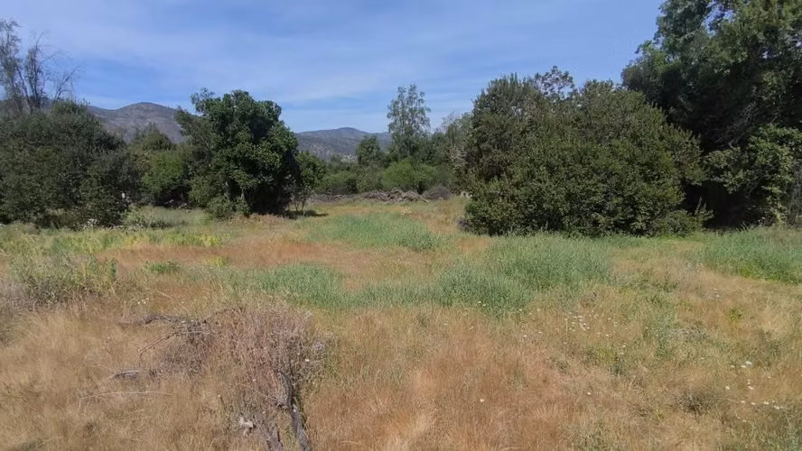 PARCELA DE 17.000 M² EN BOSQUES DE ACULEO – PAINE - Imagen 1