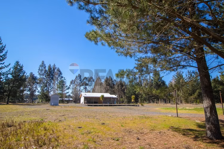 ¡la vida de campo en monte águila te espera! - Imagen 4