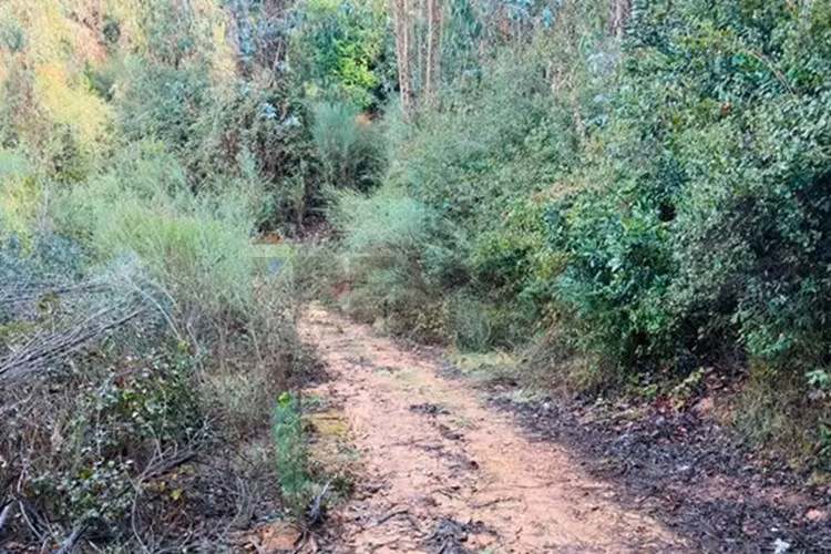 Venta parcela - Imagen 2
