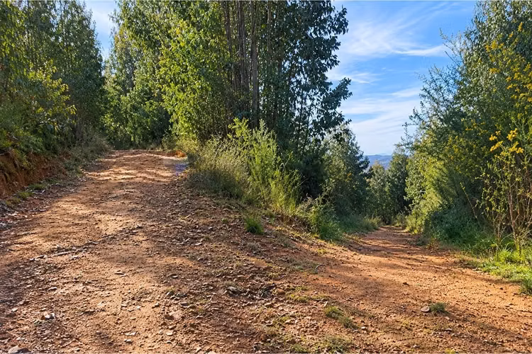 Venta parcela - Imagen 18