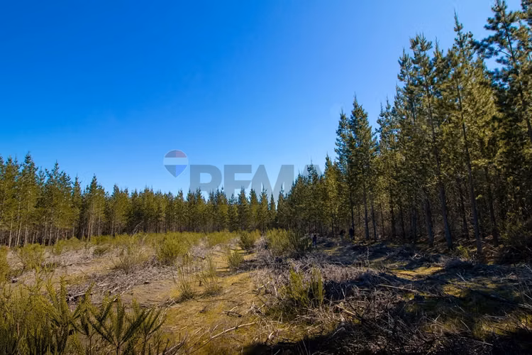 Parcela de 5.000m² a la venta - Imagen 7
