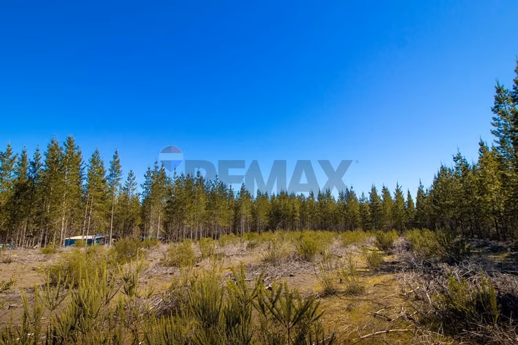 Parcela de 5.000m² a la venta - Imagen 12